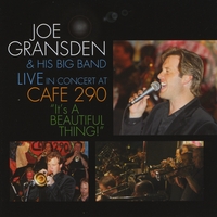 JOE GRANSDEN - It's A Beautiful Thing! cover 
