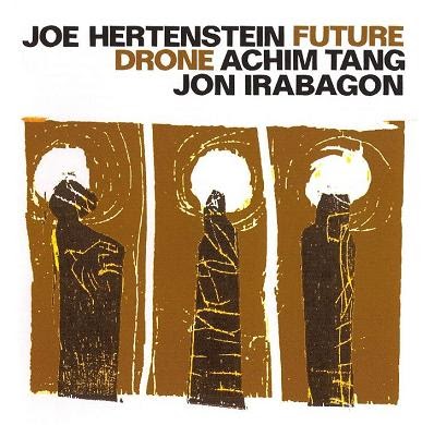 JOE HERTENSTEIN - Future Drone cover 