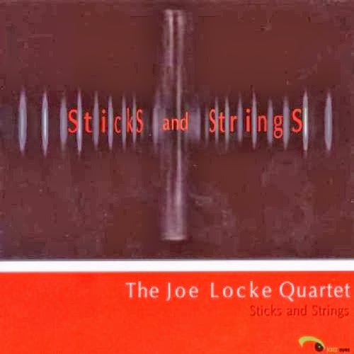 JOE LOCKE - Sticks and Strings cover 