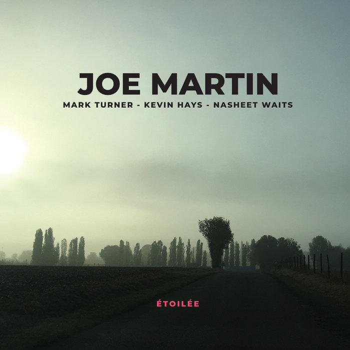 JOE MARTIN - Étoilée cover 
