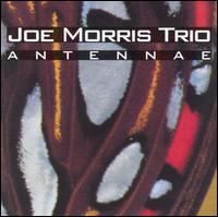 JOE MORRIS - Joe Morris Trio ‎: Antennae cover 