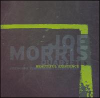 JOE MORRIS - Beautiful Existence cover 