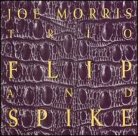 JOE MORRIS - Flip and Spike cover 