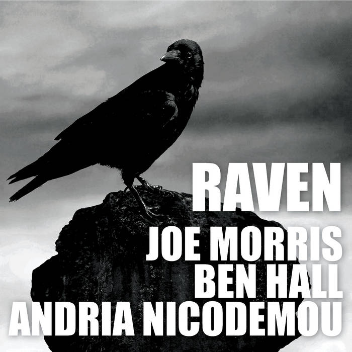 JOE MORRIS - Joe Morris | Ben Hall | Andria Nicodemou : Raven cover 