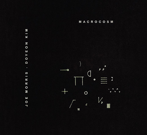 JOE MORRIS - Joe Morris / Do Yeon Kim  :  Macrocosm cover 