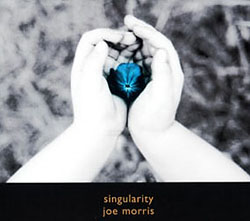 JOE MORRIS - Singularity cover 