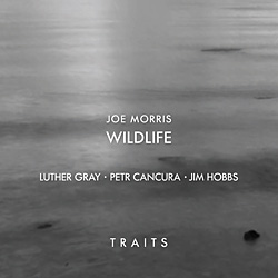 JOE MORRIS - Traits cover 