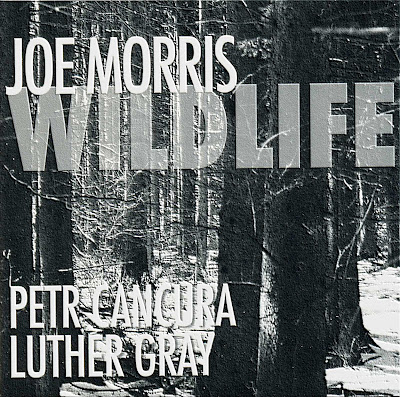 JOE MORRIS - Wildlife cover 