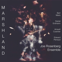 JOE ROSENBERG - Joe Rosenberg Ensemble : Marshland cover 