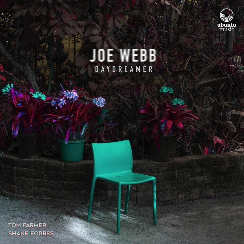 JOE WEBB - Daydreamer cover 