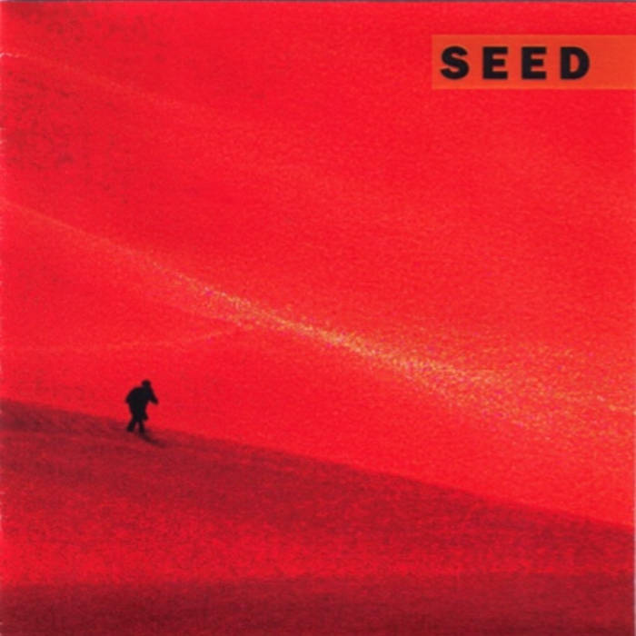 JOEL GOODMAN - Seed cover 