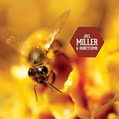 JOEL MILLER - Honeycomb cover 