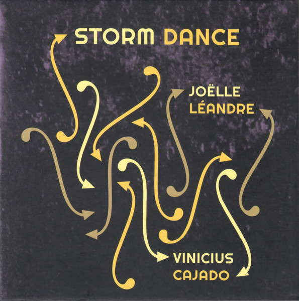 JOËLLE LÉANDRE - Joëlle Léandre / Vinicius Cajado : Storm Dance cover 