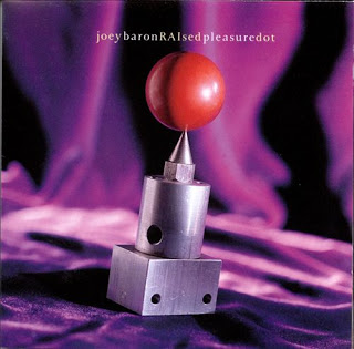 JOEY BARON - RAIsed Pleasure Dot cover 