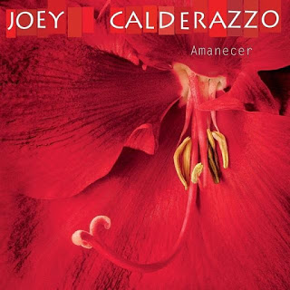 JOEY CALDERAZZO - Amanecer cover 