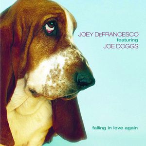 JOEY DEFRANCESCO - Falling in Love Again cover 