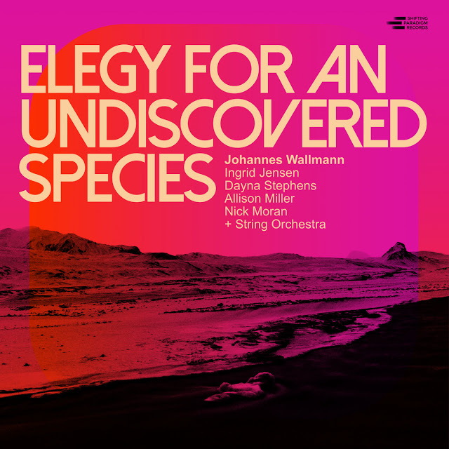JOHANNES WALLMANN - Elegy for an Undiscovered Species cover 