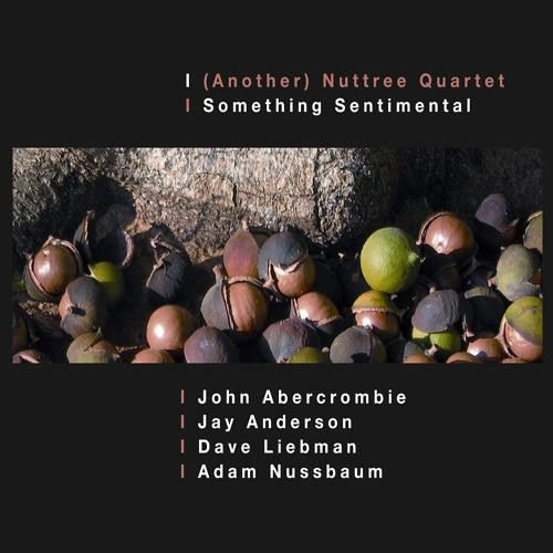 JOHN ABERCROMBIE - (Another) Nuttree Quartet: Something Sentimental cover 