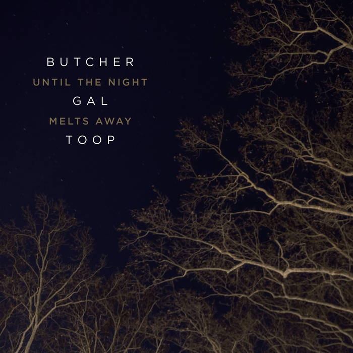 JOHN BUTCHER - John Butcher / Sharon Gal / David Toop : Until The Night Melts Away cover 