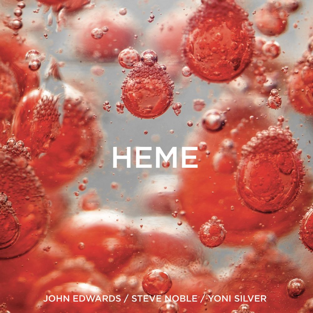 JOHN EDWARDS - John Edwards | Steve Noble | Yoni Silver : HEME cover 