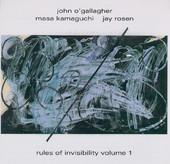 JOHN O'GALLAGHER - Rules of Invisibility vol. 1 cover 