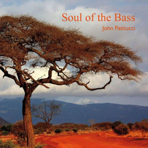 JOHN PATITUCCI - Soul of the Bass cover 