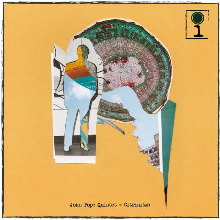 JOHN POPE - John Pope Quintet : Citrinitas cover 