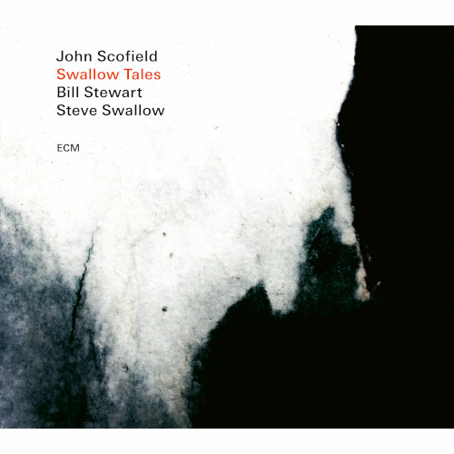 JOHN SCOFIELD - Swallow Tales cover 