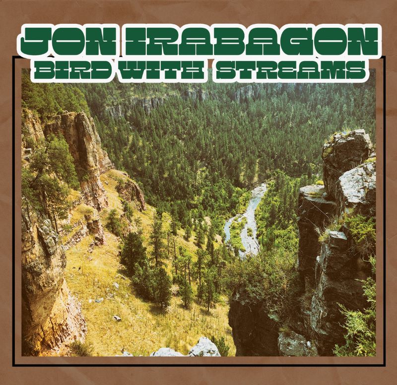 JON IRABAGON - Bird with Streams cover 
