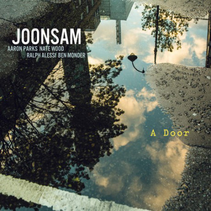 JOONSAM - A Door cover 