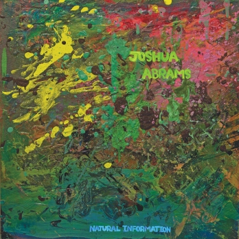 JOSHUA ABRAMS - Natural Information cover 