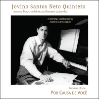 JOVINO SANTOS NETO - Por Causa de Voce (Because of You) cover 
