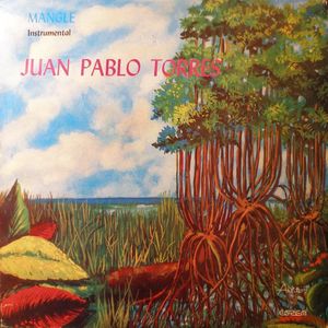 JUAN PABLO TORRES - Mangle Instrumental cover 