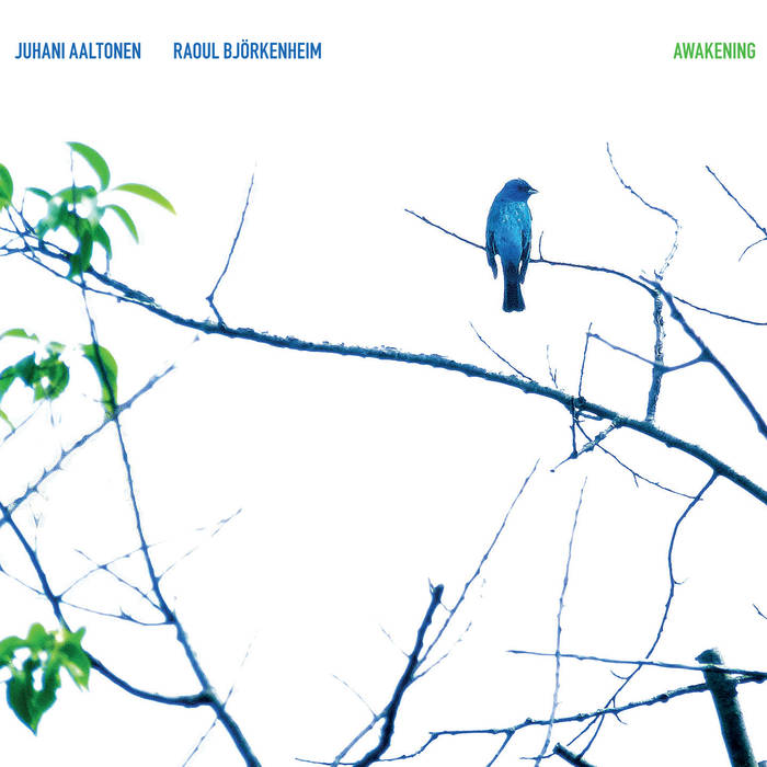 JUHANI AALTONEN - Juhani Aaltonen & Raoul Bjorkenheim : Awakening cover 