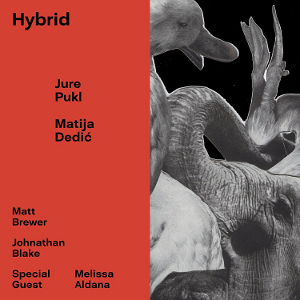 JURE PUKL - Jure Pukl & Matija Dedić : Hybrid cover 