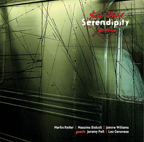 JURE PUKL - Serendipity cover 