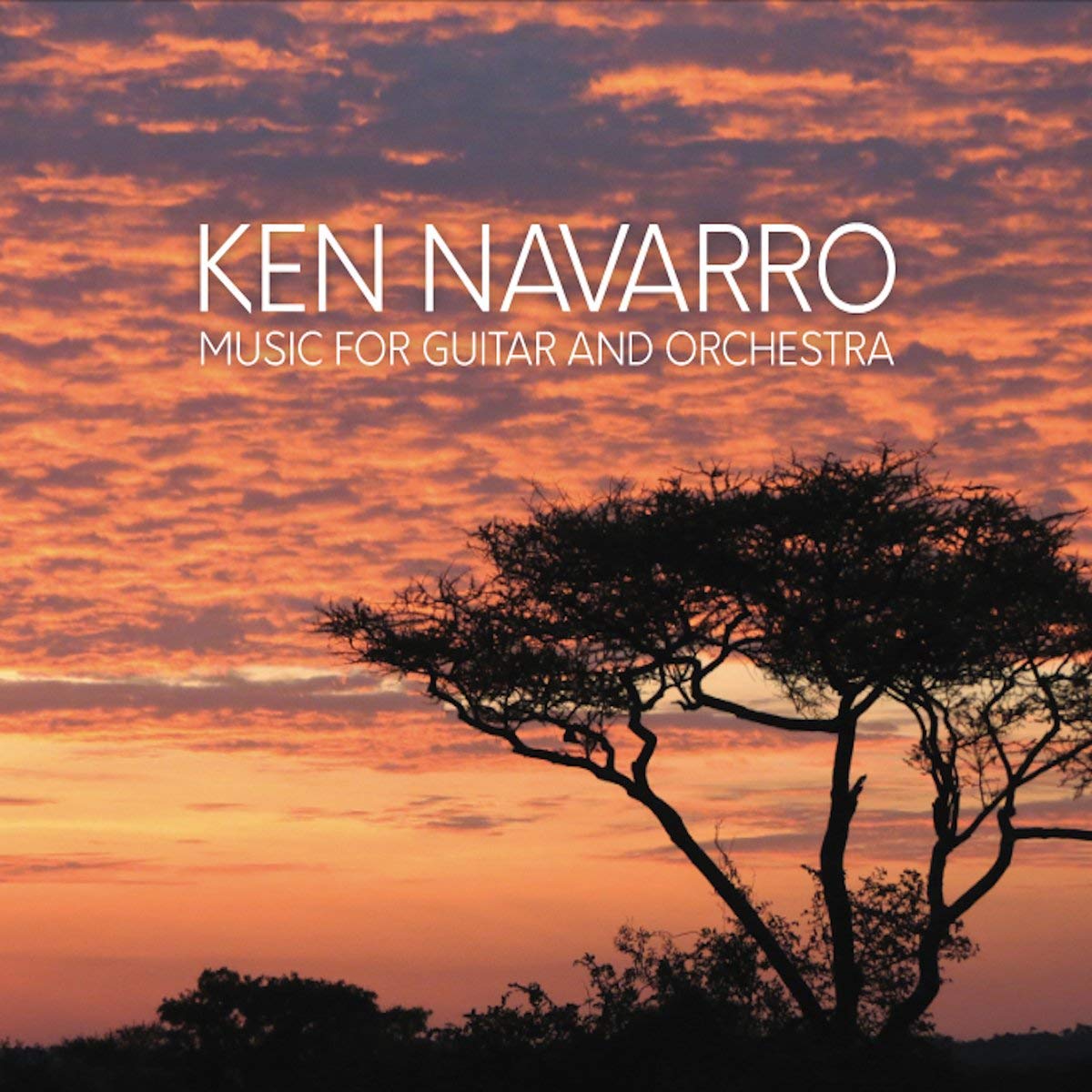 KEN NAVARRO - Music For Guitar And Orchestra cover 
