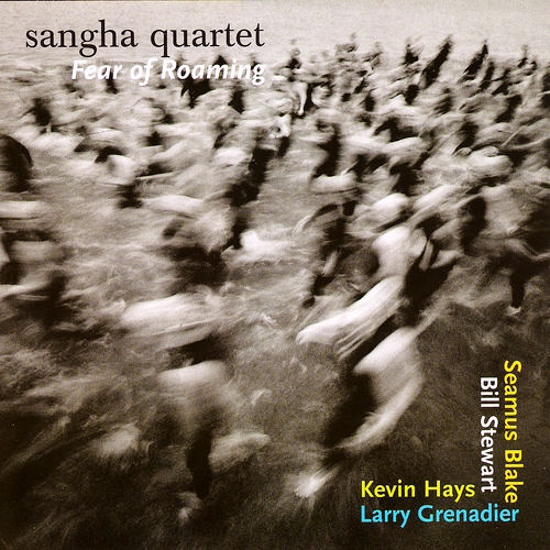 KEVIN HAYS - Sangha Quartet ‎: Fear Of Roaming cover 