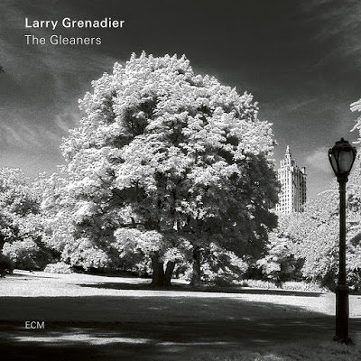 LARRY GRENADIER - The Gleaners cover 