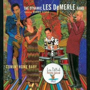 LES DEMERLE - Comin' Home Baby cover 