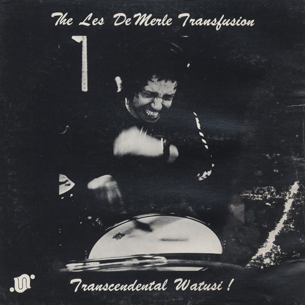 LES DEMERLE - Transcendental Watusi cover 