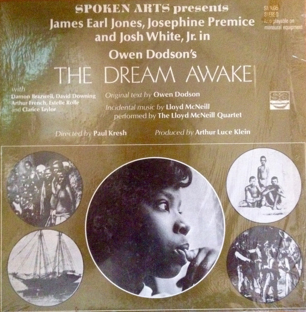 LLOYD MCNEILL - The Dream Awake cover 