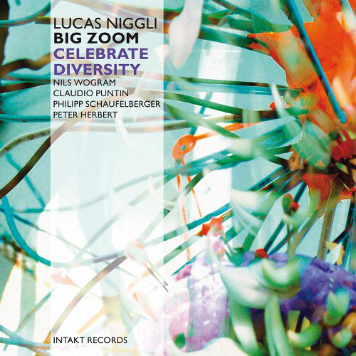 LUCAS NIGGLI - Lucas Niggli Big Zoom ‎: Celebrate Diversity cover 