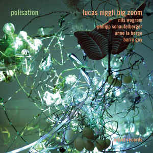LUCAS NIGGLI - Lucas Niggli Big Zoom ‎: Polisation cover 