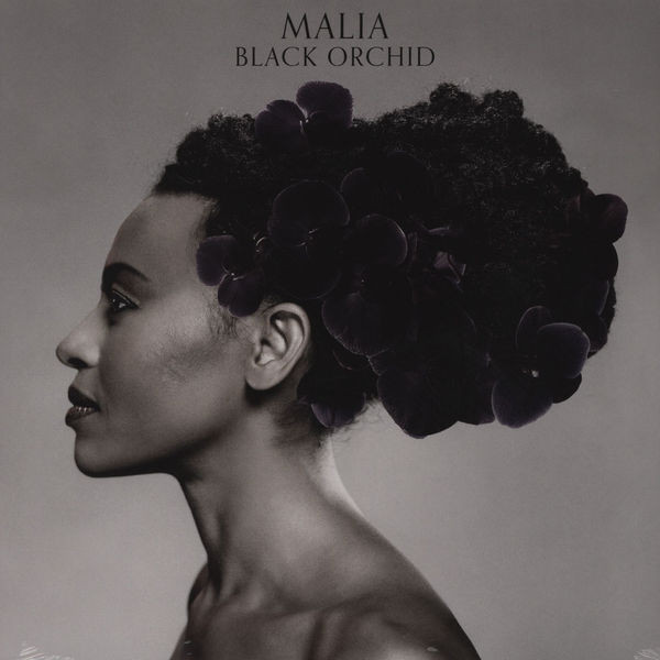 MALIA - Black Orchid cover 