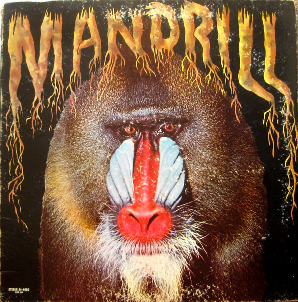 MANDRILL - Mandrill cover 