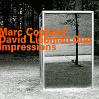 MARC COPLAND - Marc Copland David Liebman Duo: Impressions cover 
