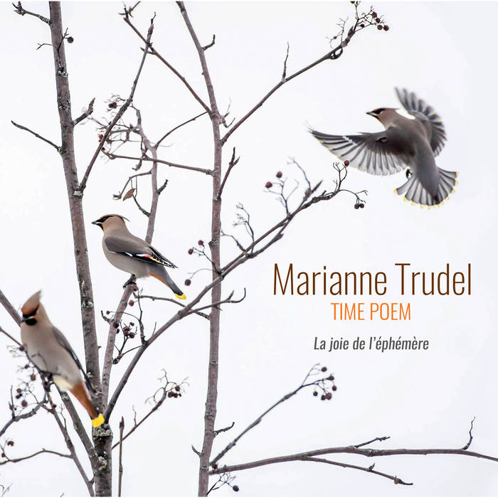 MARIANNE TRUDEL - Marianne Trudel​-​Time Poem : La joie de l'​é​ph​é​m​è​re cover 