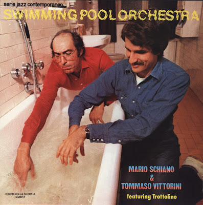 MARIO SCHIANO - Swimming Pool Orchestra cover 