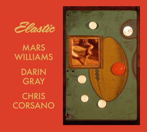 MARS WILLIAMS - Mars Williams / Darin Gray / Chris Corsano : Elastic – Mars Archive #3 cover 